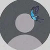 im_dll4
