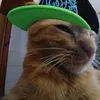 super.stail4