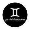 geminivibespace