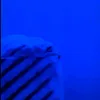 kredit_online7