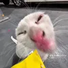 ngocbayybee