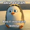 meme_exp._