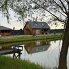 home_fish_bogdan
