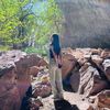 ahonaii1