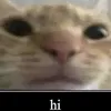daniel.meschkarjo