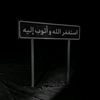 aseel..518