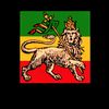 user71221ethio