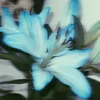 dreamylein