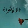 riyad_ryd4