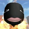 1.2.3pol