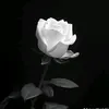 duy.nht9645