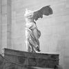 unrl_angel