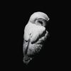 plume_on.a_hat