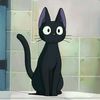 blackcat_0w0