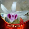 nguyn.thng8773