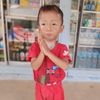 linamul683