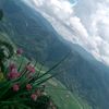 shreyarai67