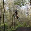 cole_mtb31