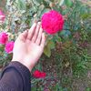 ruhiya.ruhi5