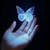 butterfly 🦋