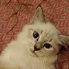 itsmekyej