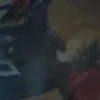 ngclan3022