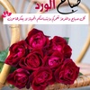 roqia.bassam