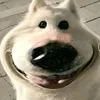 tnbegacon