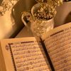 arham.ali8941