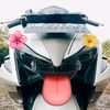 acil._geleng