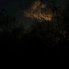 retaj_11111r