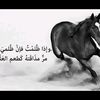 ayoba.ahmad