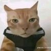 neymarsantos067