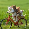 CatWorld