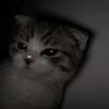 akunsepi_official
