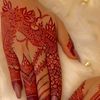 karachi_queen486