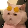 vntinnguyntrng2