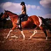 kaisha.h2010