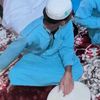 fauzan.zan503