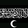 mo.waleed53