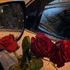 user7707699023025
