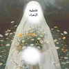 user6391615244811