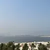 mahi.63055