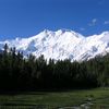 kashmer333