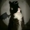 supercoolmayo