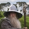 gandalf4241