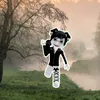 eviks.rbx84