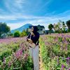 adeknadd
