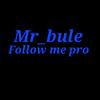 mr_bule3