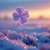 duc.phuc2206